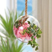 Glaskugel mit Kordel, dekorative Blumenampel aus Glas