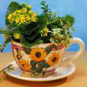 Pflanz-Tasse, Keramik