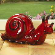 Schnecke