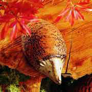 Keramik-Igel