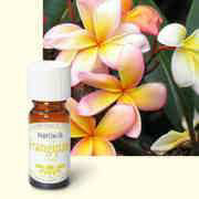 Parfümöl Frangipani