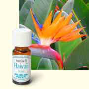 Parfümöl Hawaii