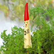 6104 Dill