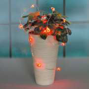 LED Lichterkette, Weihnachtsdeko, 12 rote Herzlichter