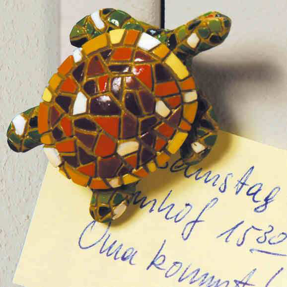 Magnet-Schildkröte