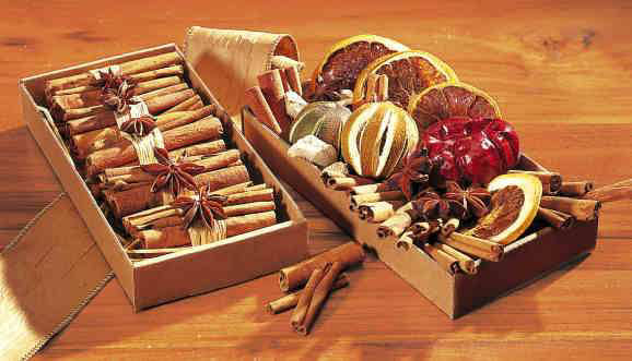 Früchte Deko-Set