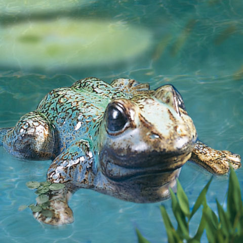 Dating Frosch Und Blatt Schwimmend Schwimmfrosch Teichdeko Garten Teich