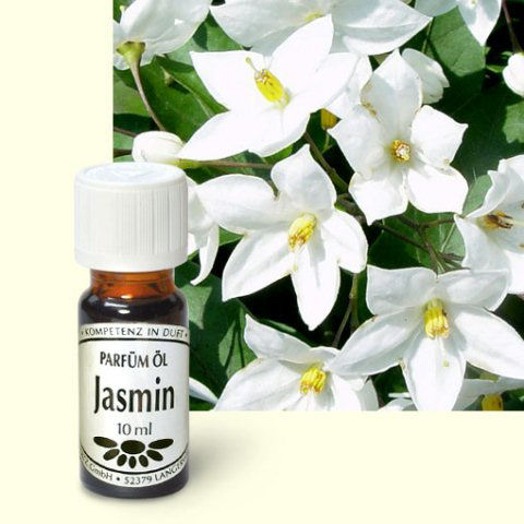 Parfümöl Jasmin, Raumduft Aromaöl