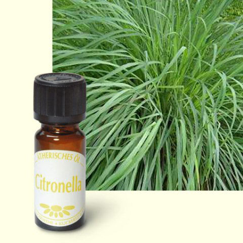 Ätherisches Duftöl Citronella, Raumduft Aromaöl