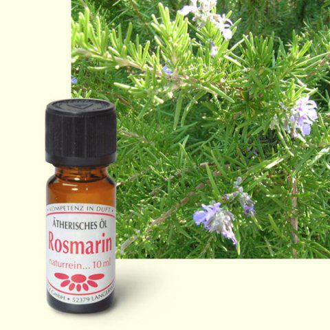 Ätherisches Duftöl Rosmarin, Raumduft Aromaöl