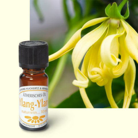 Ätherisches Duftöl Ylang Ylang, Raumduft Aromaöl