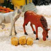 Lichthäuser Miniaturfiguren Set „Pferde”