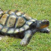 Gartenschildkröte Kunibert, naturgetreu, Keramik, natur