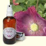 Raumspray Opium, 100 ml Duftzerstäuber