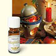 Parfümöl Bratapfel-Duft, Raumduft Aromaöl