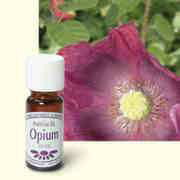 Parfümöl Opium, Raumduft Aromaöl