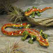 Salamander „Paradiso”, 2er-Set Tierfiguren Gartendeko