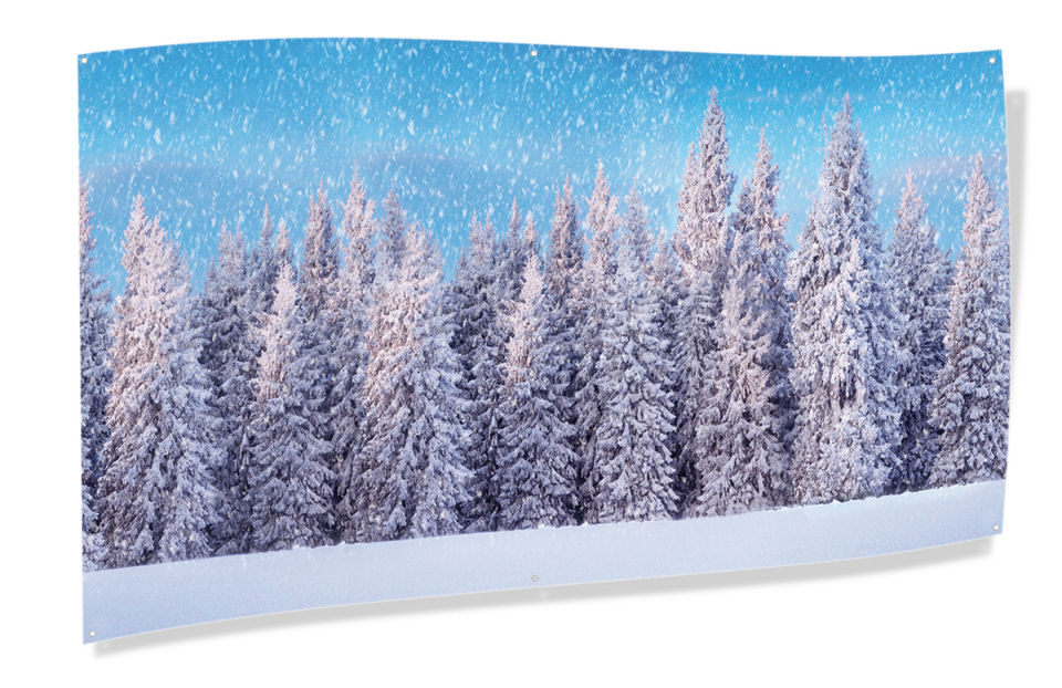 Fototuch „Winterwald” XXL, Lichthäuser Hintergrundkulisse