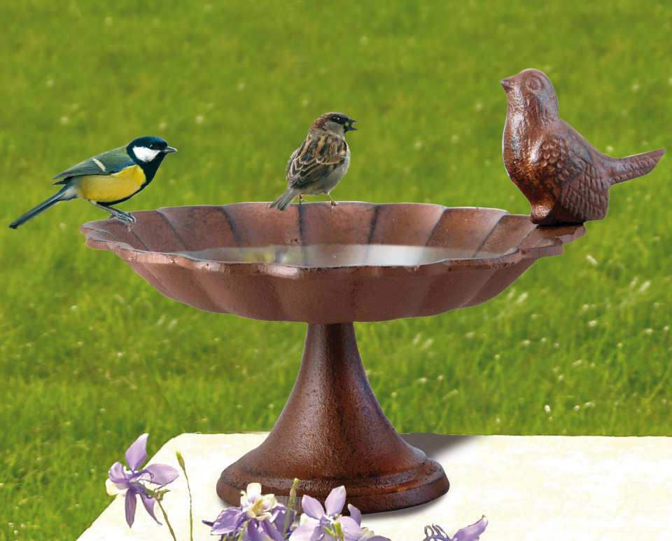 Vogeltränke mit Vogel, robuste Gartendeko aus Gusseisen